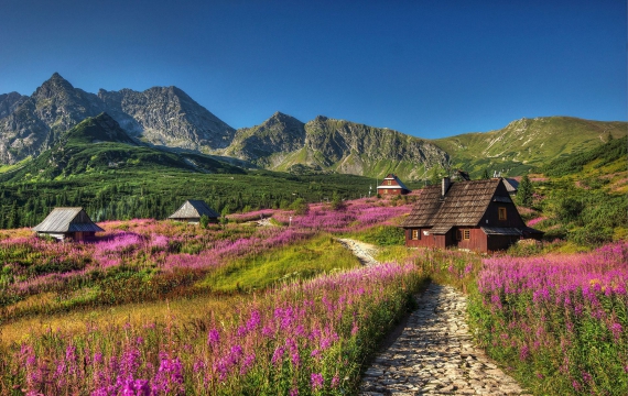 Bliska okolica